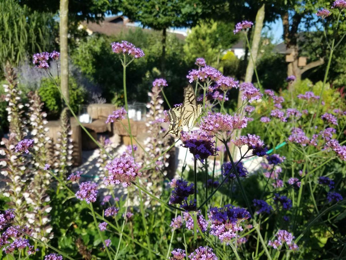 Webergarten Oestrich-Winkel Zewnętrze zdjęcie
