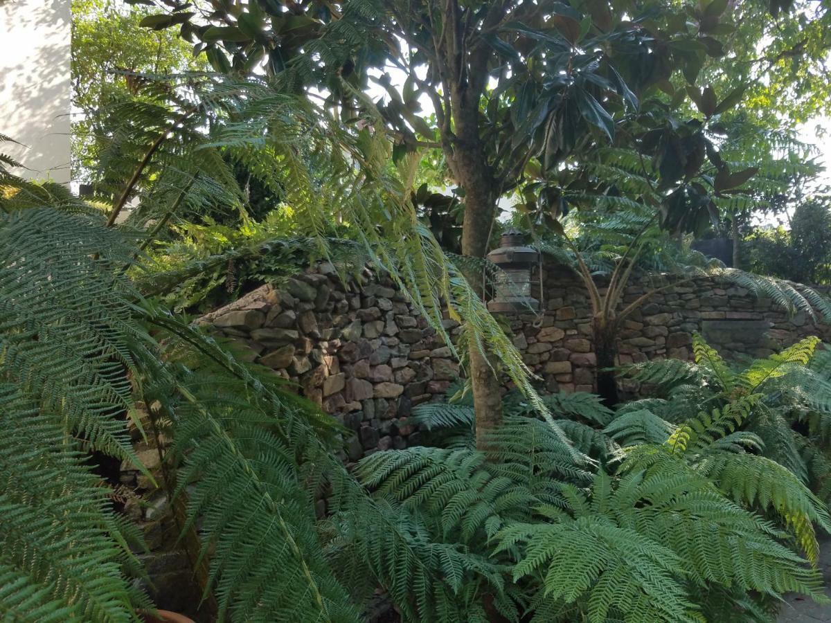 Webergarten Oestrich-Winkel Zewnętrze zdjęcie