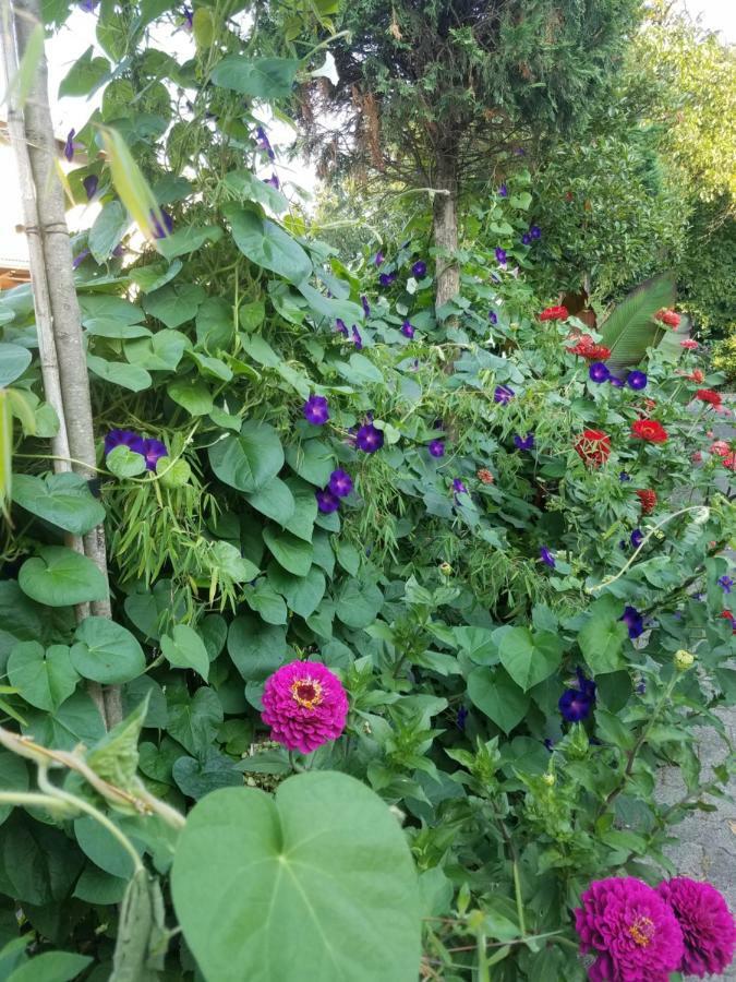 Webergarten Oestrich-Winkel Zewnętrze zdjęcie