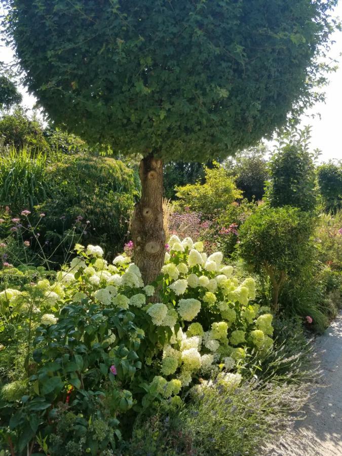 Webergarten Oestrich-Winkel Zewnętrze zdjęcie